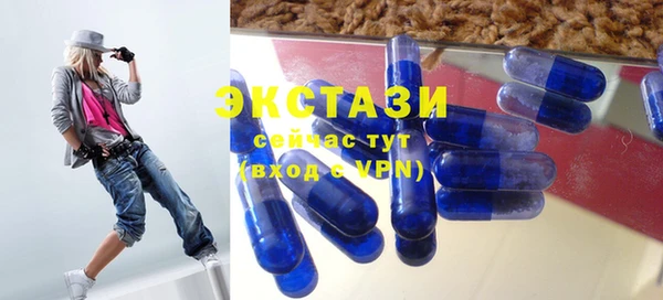 стаф Новодвинск
